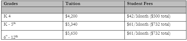 CAMBRIDGE TUITION FOR INTERNATIONAL STUDENTS visual data 7